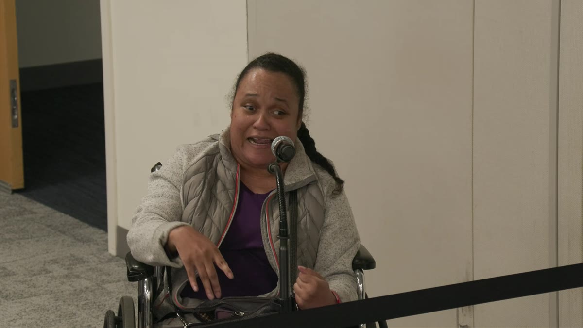 A frame from the MTA Board / LIRR Committee meeting recording