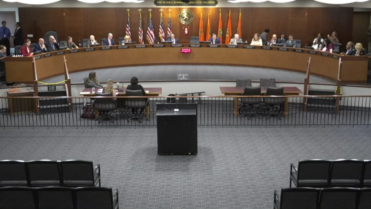 A frame from the Nassau County Legislature meeting recording