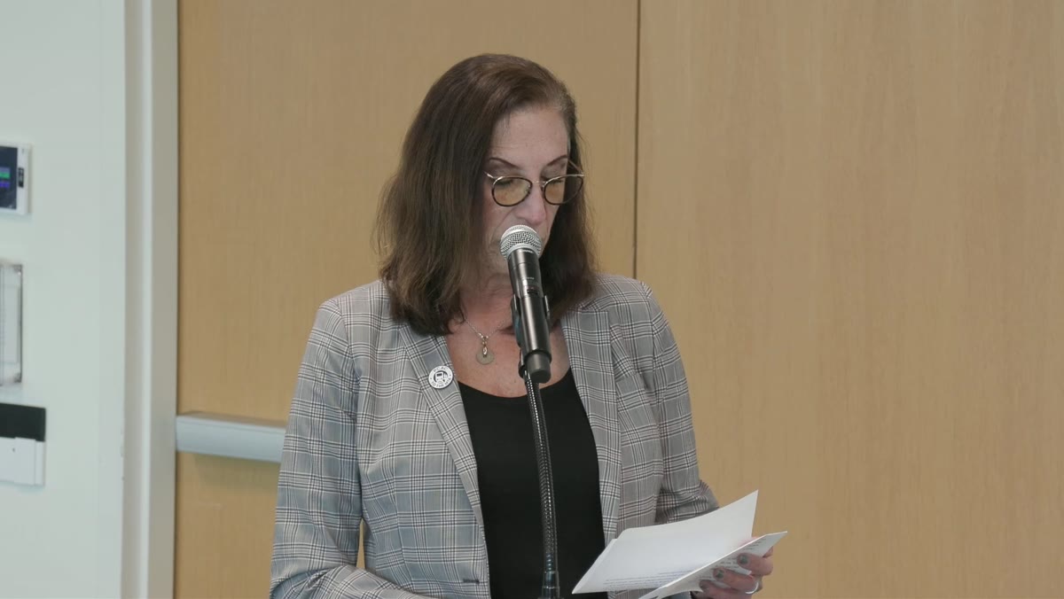 A frame from the MTA Board / LIRR Committee meeting recording